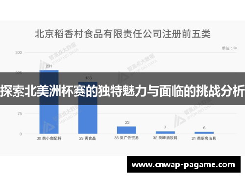 探索北美洲杯赛的独特魅力与面临的挑战分析