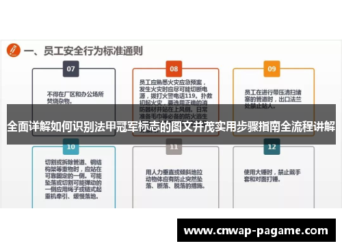 全面详解如何识别法甲冠军标志的图文并茂实用步骤指南全流程讲解
