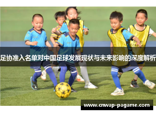 足协准入名单对中国足球发展现状与未来影响的深度解析