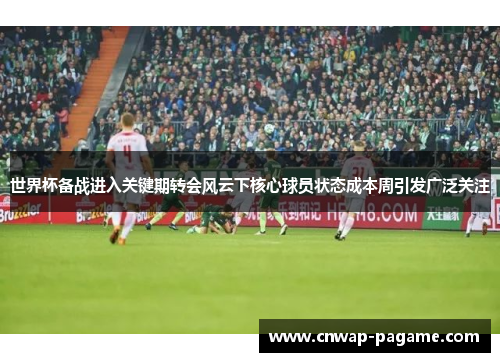 世界杯备战进入关键期转会风云下核心球员状态成本周引发广泛关注