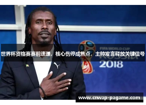 世界杯资格赛赛前速递，核心伤停成焦点，主帅发言释放关键信号